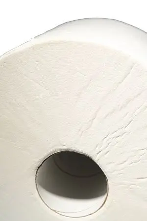 Фото №3 - Вик: Полотенца протирочные 2сл 350м 24х35 целлюлоза белые с тиснением PROtissue