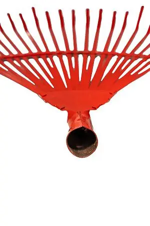 Фото №5 - Хозяйственный инвентарь: Грабли веерные большие крашенные металл