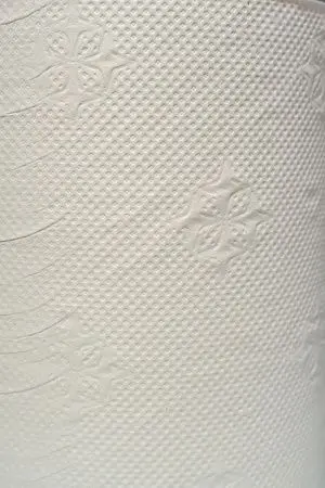 Фото №2 - Вик: *Терес Полотенца бумажные 150м 2сл белые