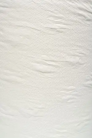 Фото №2 - Вик: Полотенца бумажные ЦВ 1сл 275м 100% целлюлоза без перфорации PROtissue