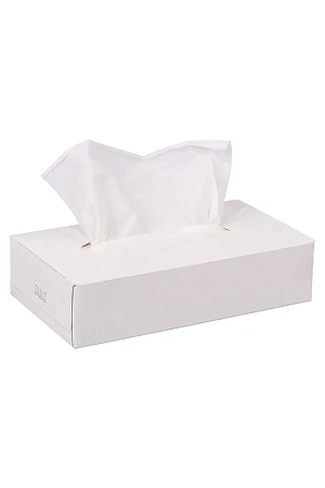 Фото №6 - Бумажные салфетки: косметические 2сл 100листов белые Plushe Professional