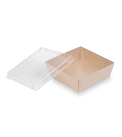 Одноразовая продукция: Крышка к контейнеру 550мл OSQ SmartPack 550 плоская прозрачная /кор=50 шт.