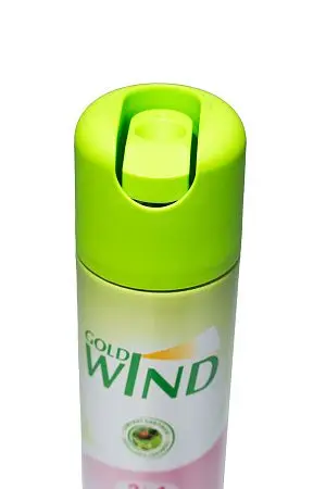 Фото №3 - Освежители воздуха: ГОЛД ВИНД 300 мл ПОСЛЕ ДОЖДЯ