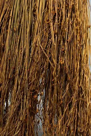 Фото №3 - Хозяйственный инвентарь: Метла Сорго с длинной ручкой Люкс