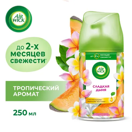 Освежители воздуха: АИРВИК 250мл авт. (зап.блок) Микс дыня огурец