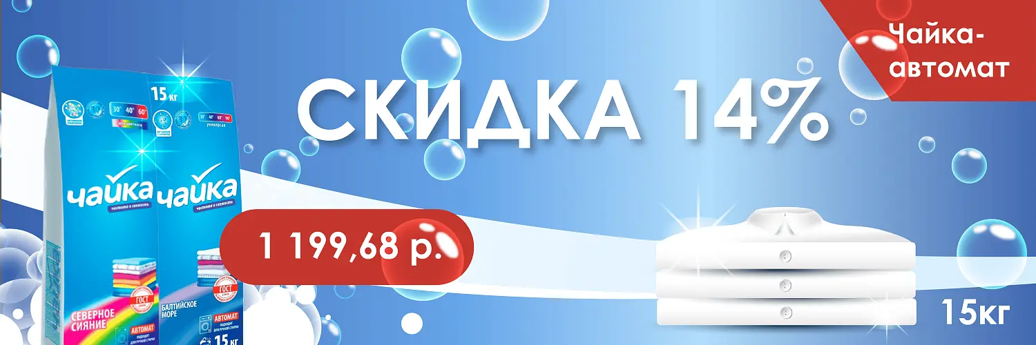 10/24 чайка 