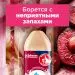 Превью №4 - Освежители воздуха: ГЛЕЙД 300мл ПИОН И СОЧНЫЕ ЯГОДЫ