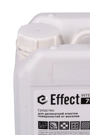 Effect: ИНТЕНСИВ-701 5л средство для деликатной очистки поверхностей от высолов