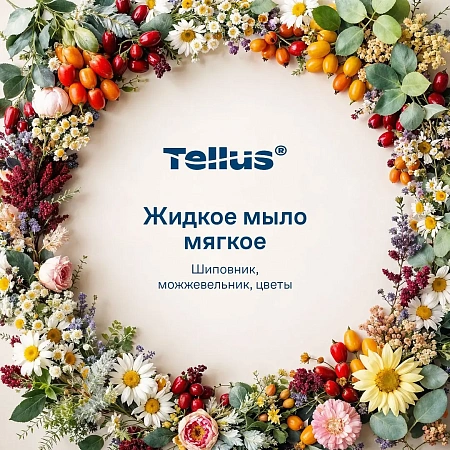 Фото №11 - ТОРК Мыло S2 475мл жидкое для рук МЯГКОЕ /шт.=1
