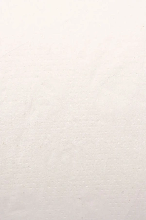 Фото №2 - ВИК Бумага туалетная 1сл 525м целлюлоза без перф. белая PROtissue /рул.=1 шт.