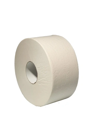 Фото №1 - Вик: Бумага туалетная 2сл 170м белая PROtissue Эконом