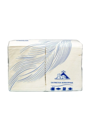 Фото №1 - Бумажные салфетки: столовые 1сл 400листов 24х24 Big Pack ROSHY белые