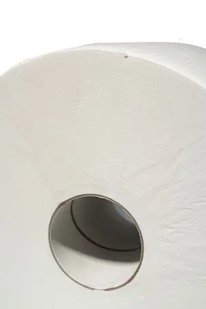 Фото №4 - Вик: Бумага туалетная ЦВ 2сл 300м целлюлоза 100% с тиснением и перфорацией PROtissue Instant