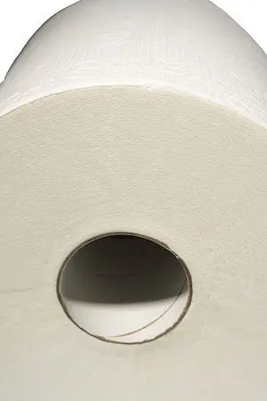 Фото №4 - Вик: Полотенца бумажные ЦВ 2сл 150м 100% целлюлоза с перфорацией PROtissue