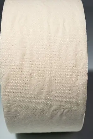 Фото №3 - Вик: Бумага туалетная 1сл 200м целлюлоза 100%