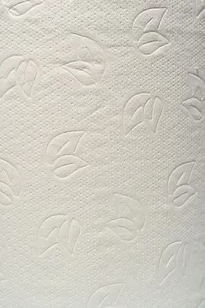 Фото №2 - Вик: Полотенца бумажные ЦВ 2сл 150м 100% целлюлоза с перфорацией PROtissue