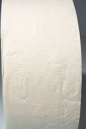 Фото №3 - Вик: Бумага туалетная 1сл 525м целлюлоза без перф. белая PROtissue