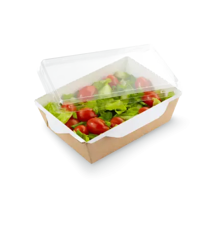 Одноразовая продукция: Крышка к контейнеру 400мл 110х155х13,5 OSQ OpSalad 400/450 /пач.=50 шт.