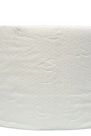 Фото №3 - Вик: Бумага туалетная ЦВ 2сл 300м целлюлоза 100% с тиснением и перфорацией PROtissue Instant