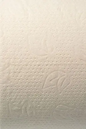 Фото №2 - Вик: Бумага туалетная 2сл 170м белая PROtissue Эконом