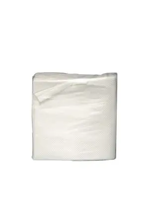 Фото №1 - Бумажные салфетки: столовые 2сл 100листов 24х24 Русгигиена белые