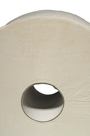 Фото №4 - Вик: Бумага туалетная 1сл 525м целлюлоза без перф. белая PROtissue