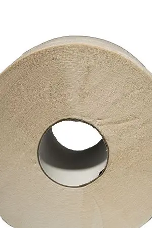 Фото №4 - Вик: Бумага туалетная 1сл 200м целлюлоза 100%