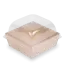 Превью №1 - Одноразовая продукция: Крышка к контейнеру 550 100/102x16мм OSQ SmartPack купольная прозрачная /пач.=50 шт.