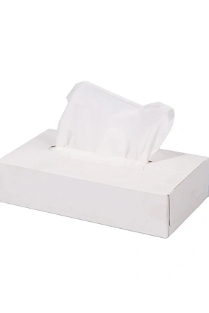 Фото №7 - Бумажные салфетки: косметические 2сл 100листов белые Plushe Professional