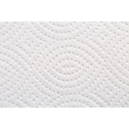 Фото №3 - ХАЯТ Бумага туалетная V 2сл 250л 23х10,8см ФОКУС ПРЕМИУМ белая /шт.=1