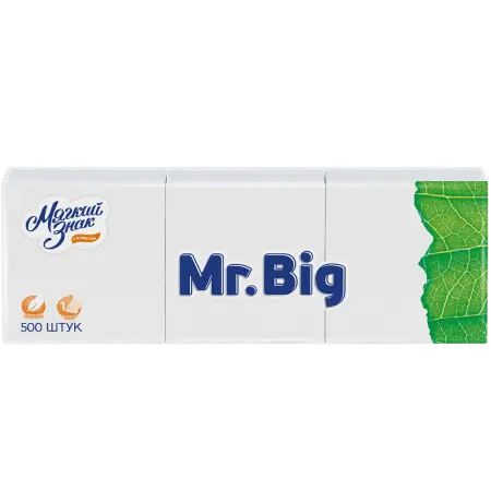Фото №1 - Бумажные салфетки: столовые 1сл 500листов 24х24 Mr. Big белые